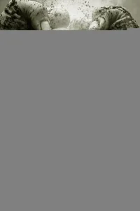 Укрощение «Пантеры» 1 сезон